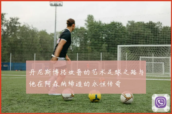 丹尼斯博格坎普的艺术足球之路与他在阿森纳缔造的永恒传奇