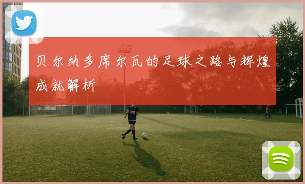 贝尔纳多席尔瓦的足球之路与辉煌成就解析