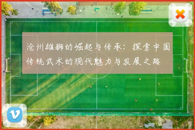 沧州雄狮的崛起与传承：探索中国传统武术的现代魅力与发展之路