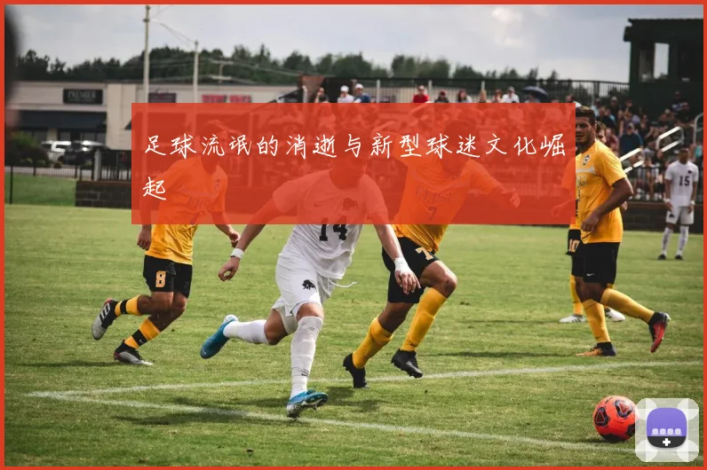 足球流氓的消逝与新型球迷文化崛起