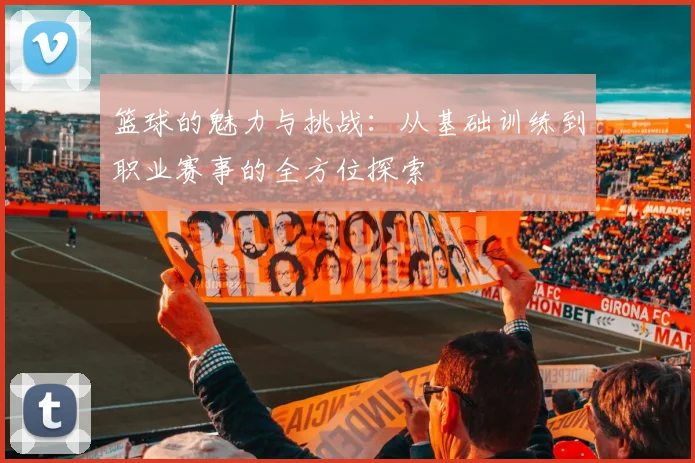 篮球的魅力与挑战：从基础训练到职业赛事的全方位探索